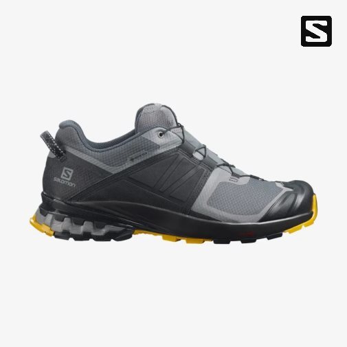 Sapatilhas Trail Running Salomon Xa Wild GTX Masculino Pretas Cinzentas | PT X24759